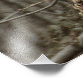 Great Horlet — Wildlife Photography Foto Afdruk (Hoek)