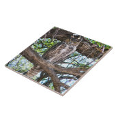 Great Horling Owl Photo Design CeramicTile Tegeltje (Zijkant)