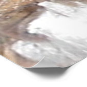 Great Horn Baboon Spider Poster (Hoek)