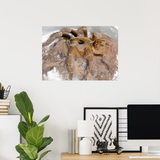 Great Horn Baboon Spider Poster (Thuiskantoor)