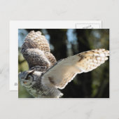 Great Horn Owl Flying 3 Briefkaart (Voorkant / Achterkant)