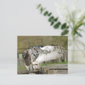Great Horn Owl Flying 4 Briefkaart (Staand voorkant)