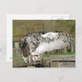 Great Horn Owl Flying 4 Briefkaart (Voorkant / Achterkant)
