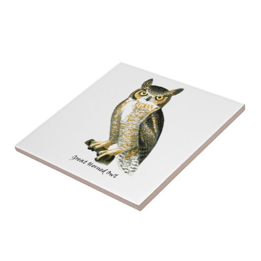 Great Horn Owl Tegeltje (Zijkant)