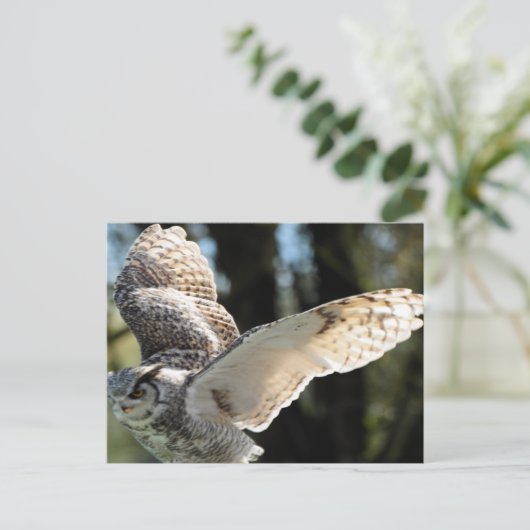Great Horned Owl 10 Briefkaart (Staand voorkant)