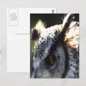 Great Horned Owl 2 Briefkaart (Voorkant / Achterkant)