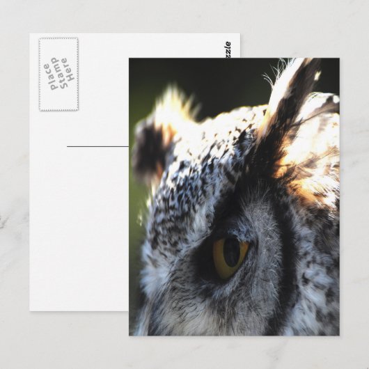 Great Horned Owl 2 Briefkaart (Voorkant / Achterkant)