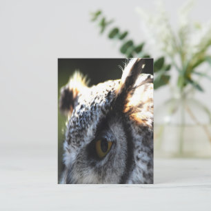 Great Horned Owl 2 Briefkaart
