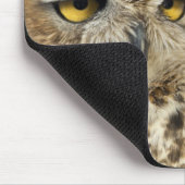 Great Horned Owl (Bubo virginianus), in gevangensc Muismat (Hoek)