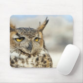 Great Horned Owl (Bubo virginianus), in gevangensc Muismat (Met muis)