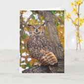 Great Horned Owl, Bubo virginianus, in plaats van Kaart (Gele Bloem)