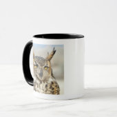 Great Horned Owl (Bubo virginianus) Mok (Voorkant links)