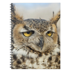 Great Horned Owl (Bubo virginianus) Notitieboek