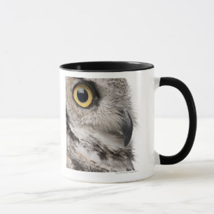 Great Horned Owl - Bubo Virginianus Subarcticus Mok