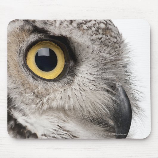 Great Horned Owl - Bubo Virginianus Subarcticus Muismat (Voorkant)