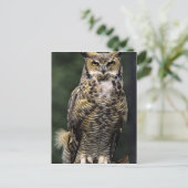 Great Horned Owl (Bubo virginianus), volledig lich Briefkaart (Staand voorkant)