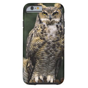 Great Horned Owl (Bubo virginianus), volledig lich Tough iPhone 6 Hoesje