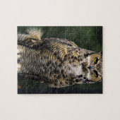 Great Horned Owl (Bubo virginianus), volledig lich Legpuzzel (Horizontaal)