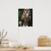 Great Horned Owl (Bubo virginianus), volledig lich Poster (Keuken)