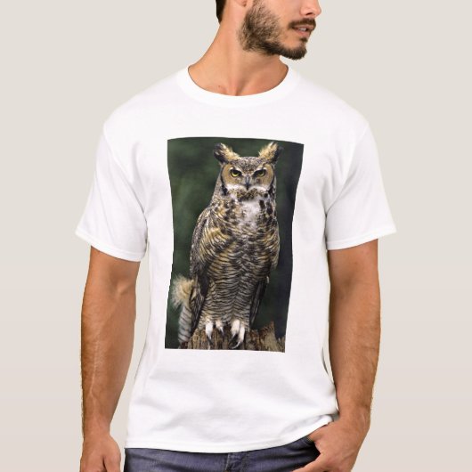Great Horned Owl (Bubo virginianus), volledig lich T-shirt (Voorkant)