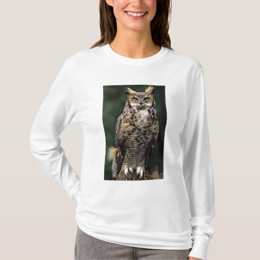 Great Horned Owl (Bubo virginianus), volledig lich T-shirt (Voorkant)