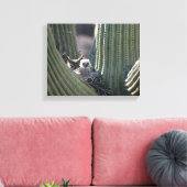 Great Horned Owl Chick Canvas Afdruk (Insitu (Woonkamer))