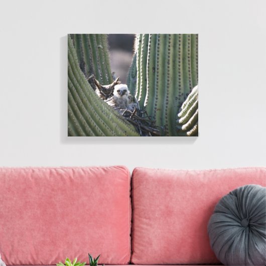 Great Horned Owl Chick Canvas Afdruk (Insitu (Woonkamer))