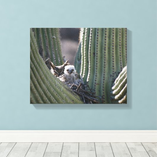 Great Horned Owl Chick Canvas Afdruk (Insitu (Houten vloer))
