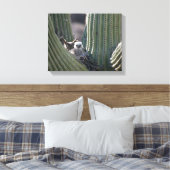 Great Horned Owl Chick Canvas Afdruk (Insitu (Slaapkamer))