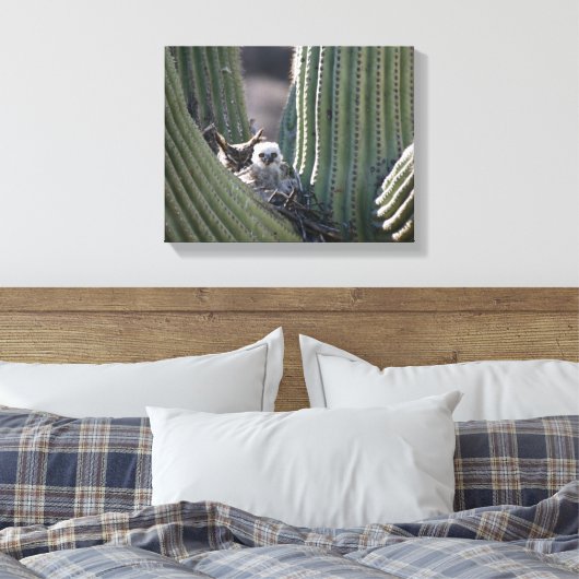 Great Horned Owl Chick Canvas Afdruk (Insitu (Slaapkamer))