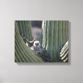 Great Horned Owl Chick Canvas Afdruk (Voorkant)