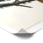 Great Horned Owl, door het Poster van Audubon (Hoek)