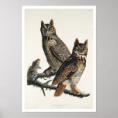 Great Horned Owl, door het Poster van Audubon (Voorkant)