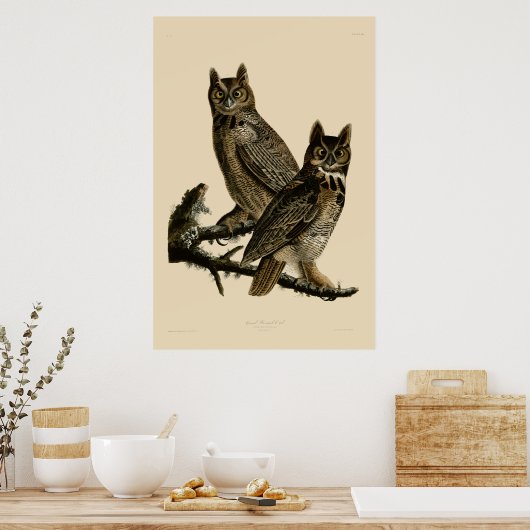 Great Horned Owl door John James Audubon Poster (Keuken)