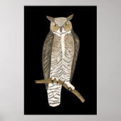 Great Horned Owl Drawing Art Poster (Voorkant)
