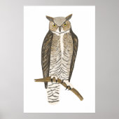 Great Horned Owl Drawing Art Poster (Voorkant)