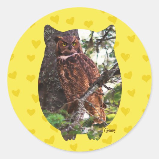 Great Horned Owl - Envelope Stickers (Voorkant)