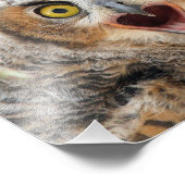 Great Horned Owl Fledgling Foto Afdruk (Hoek)