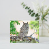 Great Horned Owl Foto Briefkaart (Staand voorkant)