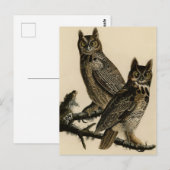 Great Horned Owl from Audubon's Birds of America Briefkaart (Voorkant / Achterkant)