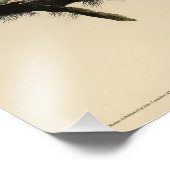 Great Horned Owl from Audubon's Birds of America Foto Afdruk (Hoek)