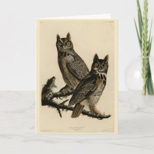 Great Horned Owl from Audubon's Birds of America Kaart
