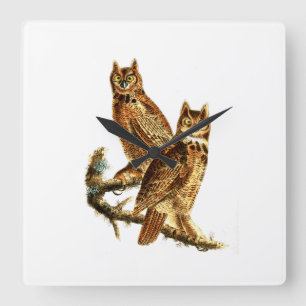 Great Horned Owl - Hoot Owl Vierkante Klok