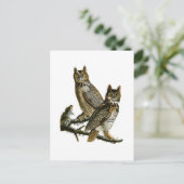 Great Horned Owl John Audubon Birds of America Briefkaart (Staand voorkant)