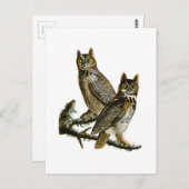 Great Horned Owl John Audubon Birds of America Briefkaart (Voorkant / Achterkant)