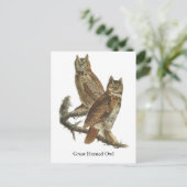 Great Horned Owl, John Audubon Briefkaart (Staand voorkant)