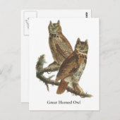 Great Horned Owl, John Audubon Briefkaart (Voorkant / Achterkant)