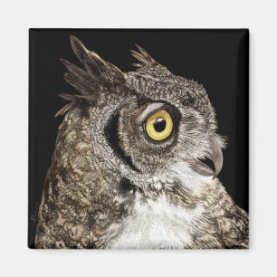 Great Horned Owl Magnet