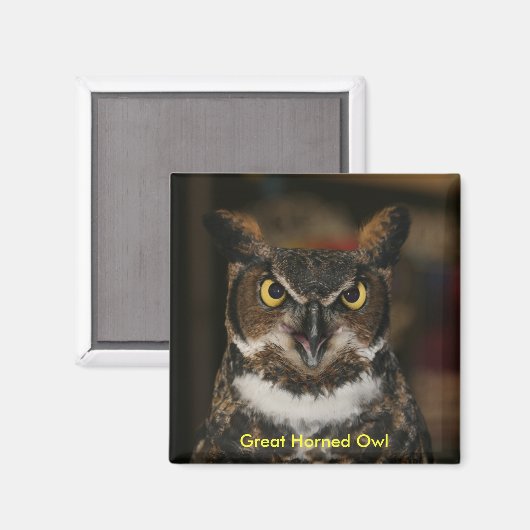 Great Horned Owl Magnet (Voorkant / Achterkant)