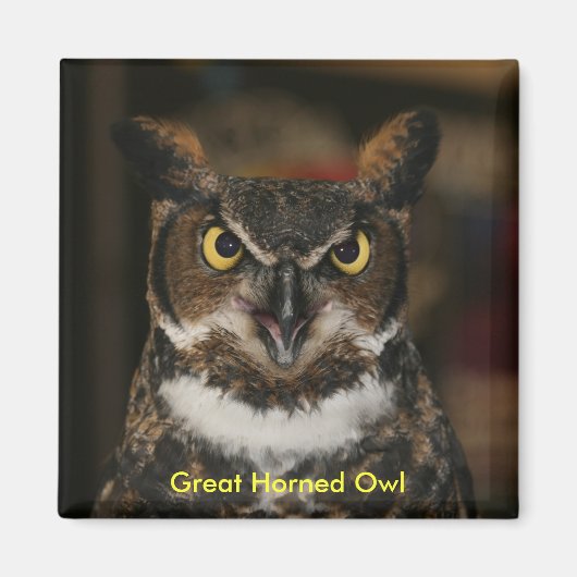 Great Horned Owl Magnet (Voorkant)